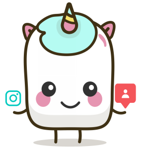 Instagram Followers